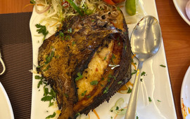 Viva Goa Restaurant