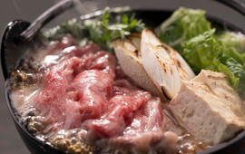 Ana Crowne Plaza Hotel Narita Sky Dining Saifu