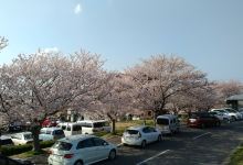 中部ジョイフル三河幸田店(三河幸田店)美食图片