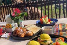 Tsavo Lion Restaurant美食图片