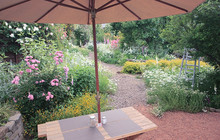 Mitsubachi Garden Cafe餐厅图片