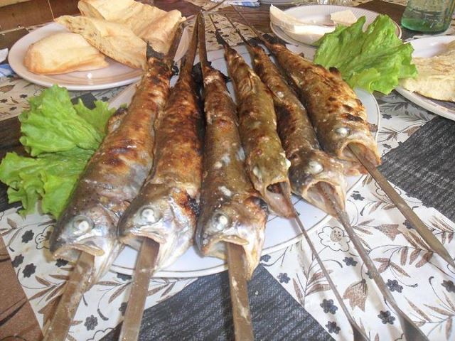 EcoRest Restaurant