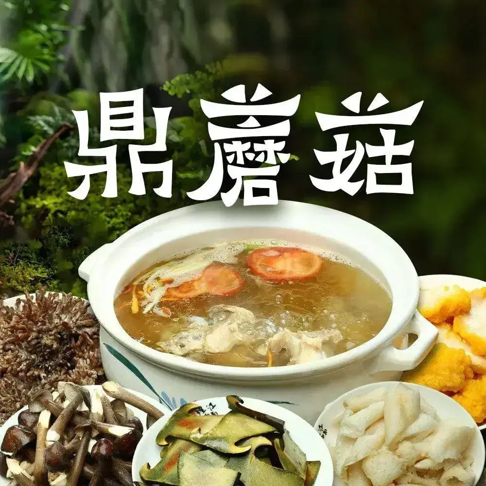 鼎蘑菇野生菌火锅