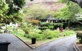 Anne's Place