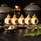 Milky Wave - Japanese Fusion Cuisine Restaurant