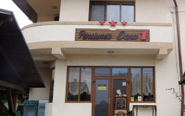 Pensiunea Dana 1