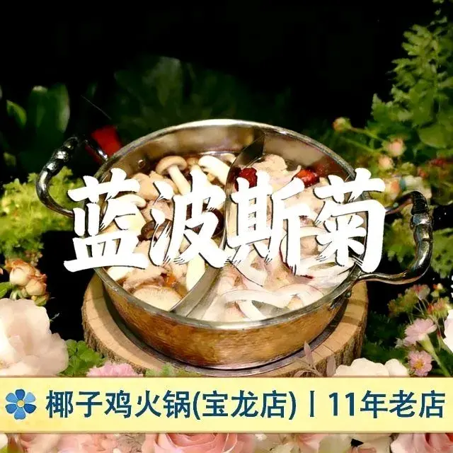 蓝波斯菊·鲜果椰子鸡(宝龙店)