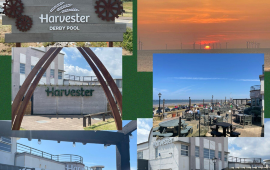 The Derby Pool Harvester Wallasey