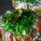 Okonomiyaki Miyuki