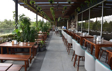 Moon Tree Cafe餐厅图片