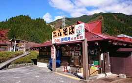 Fujihashian