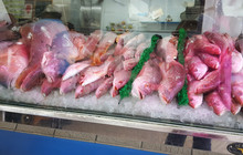 Heads Or Tails Seafood餐厅图片