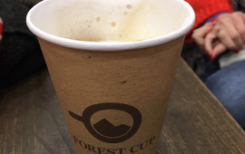 Forest Cup