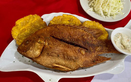 Restaurant Avenida