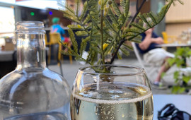 Brasserie du Sud