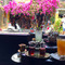 Reaching Out Tea House