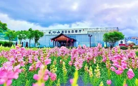 武功山星空生态餐厅