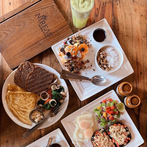 Nireas - Healthy Haven -