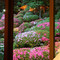 Tosa Yojozen Kao No Niwa