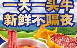 牛庄丨鲜切牛肉火锅