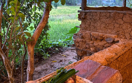 The Kitchen Garden