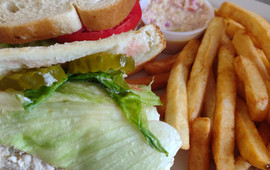 Americana 50's Diner