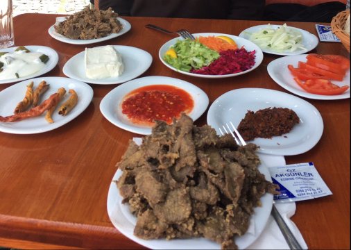 Oz Akgunler Edirne Cigercisi