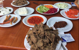 Oz Akgunler Edirne Cigercisi