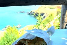 Koulla's Sandwiches美食图片