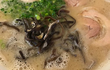 博多一丁餐厅图片