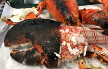 Wells Beach Lobster Pound餐厅图片