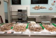 Quality Poultry and Seafood购物图片