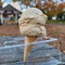 Superscoops