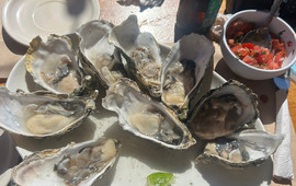 Siete Mares