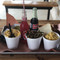 Hays County BBQ