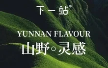 下一站(普洱景谷永平镇店)餐厅图片