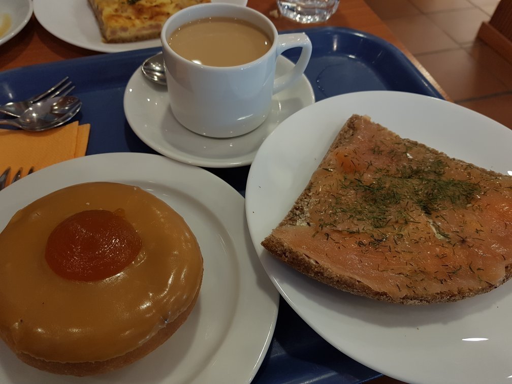 Karkiainen
