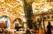 Molino de la Romera餐厅图片