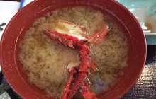 Kanehachi Sushi餐厅图片