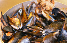 Opificio Del Gusto Cozze&Co.餐厅图片