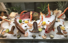 Salt Rock Grill