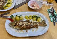 Waldhaeusl am Schleicherbach美食图片