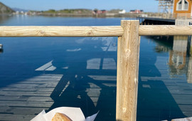 Anitas Seafood