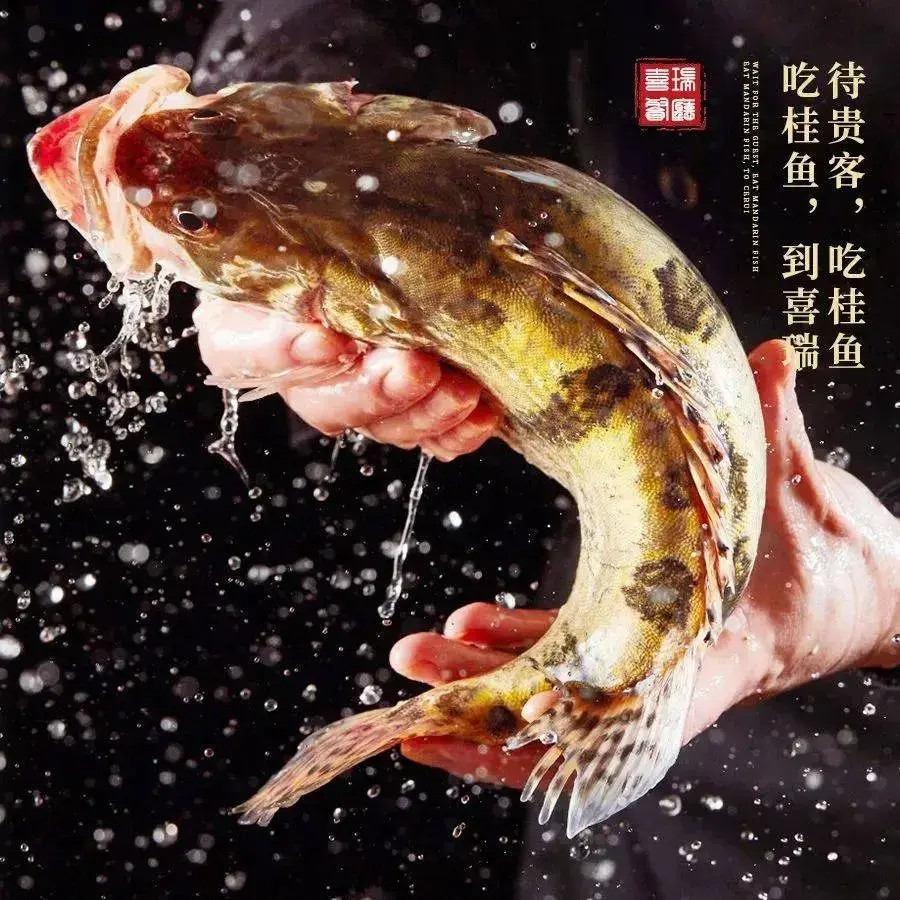 喜瑞餐厅(龙湖店)餐厅图片