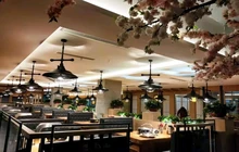 青云炭火烤肉(嘉利星城店)餐厅图片