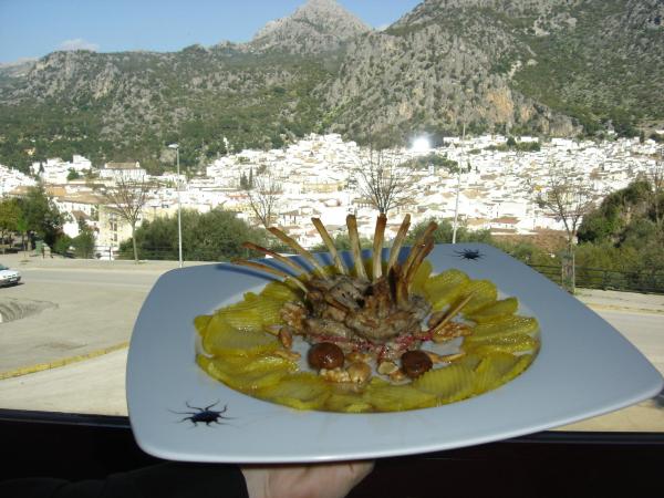 Restaurante Plaza Ubrique