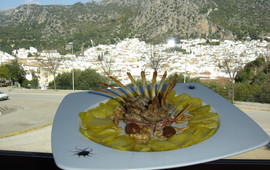 Restaurante Plaza Ubrique