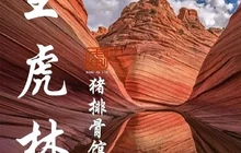 王虎林猪排骨馆·非物质文化遗产品牌餐厅图片
