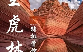 王虎林猪排骨馆·非物质文化遗产品牌