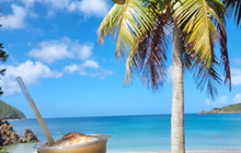Nicole's Beach Bar餐厅图片